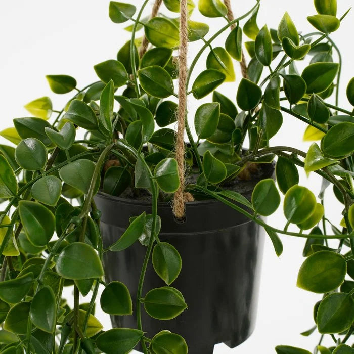 Ficus Kunst Hangplant in Pot - H46 x Ø20 cm - Groen