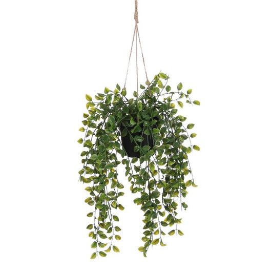 Ficus Kunst Hangplant in Pot - H46 x Ø20 cm - Groen