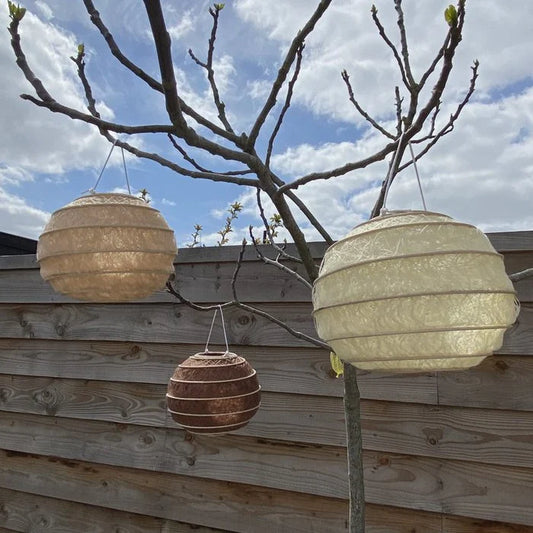 Lampion Ecru
